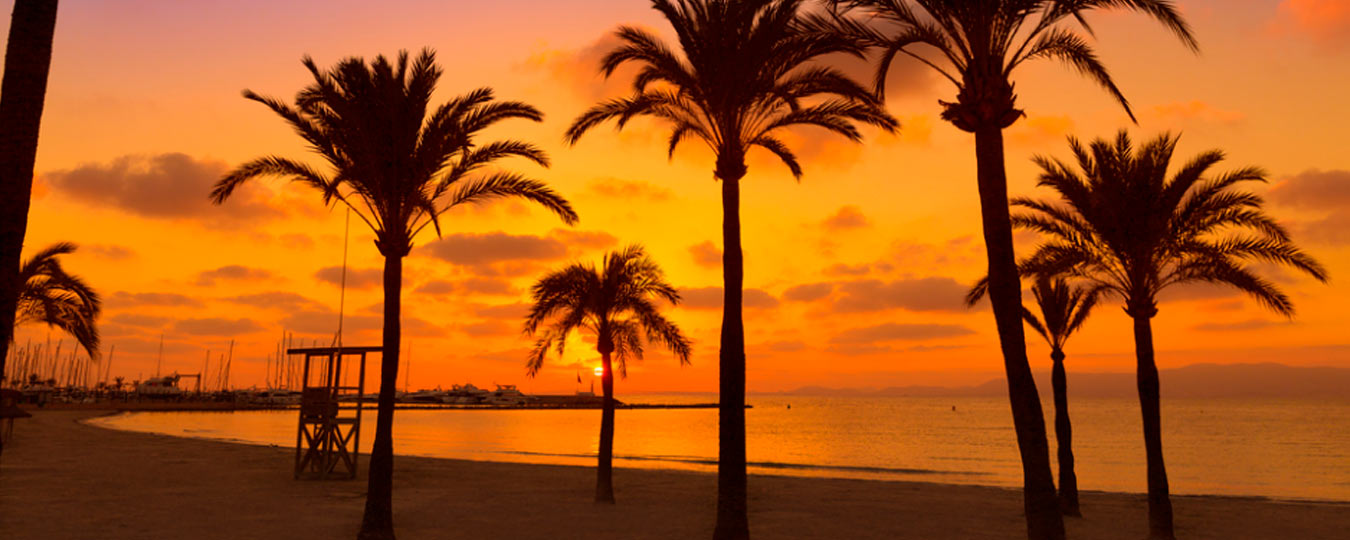 el arenal mallorca hotel manaus