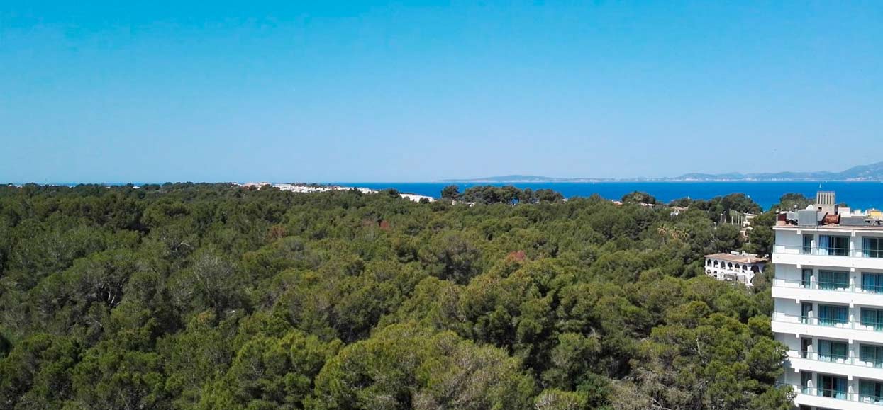 habitacion doble con vistas al bosque hotel manaus